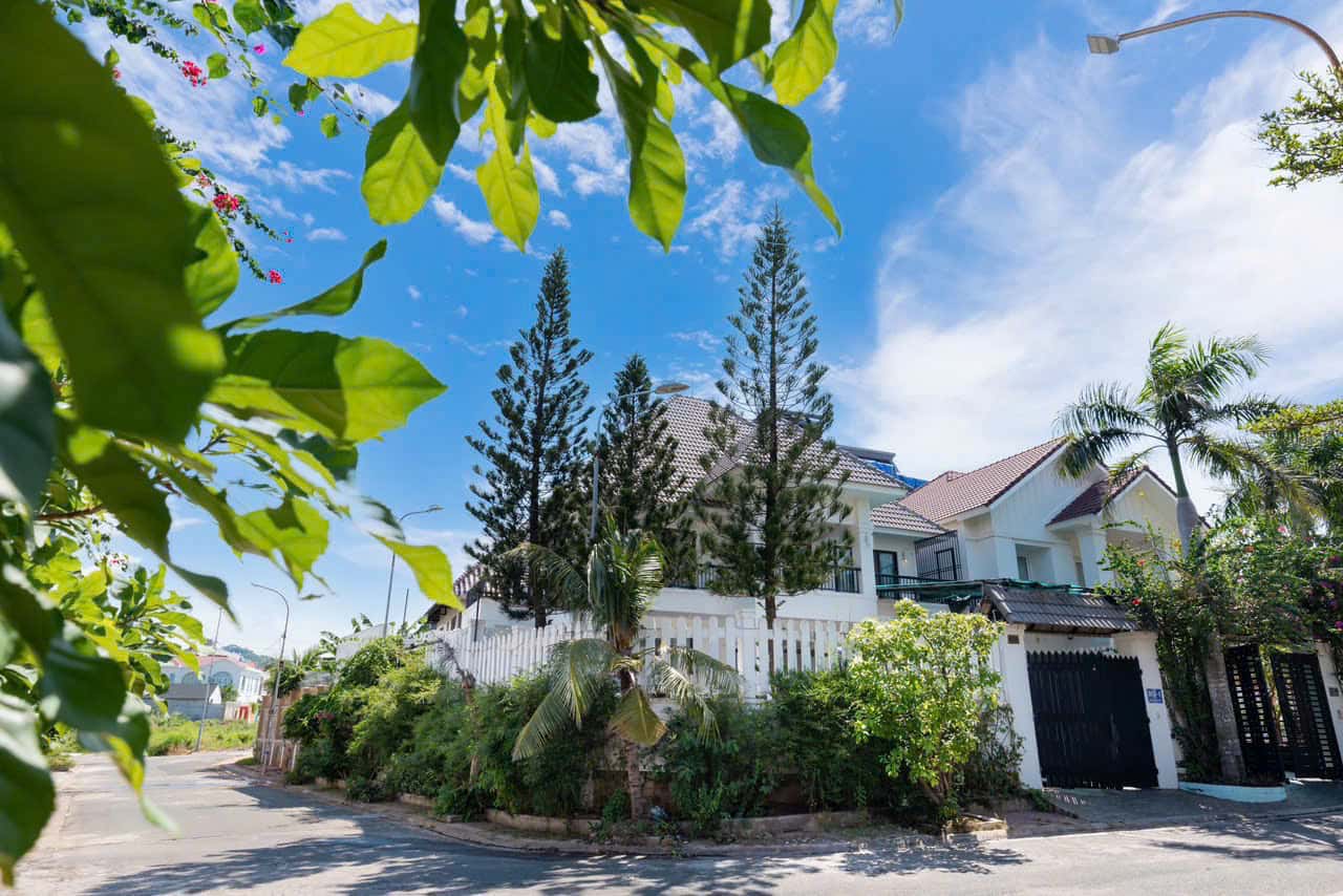 z7346431668615_11f8830e267c3735898fbc6208c51f0a