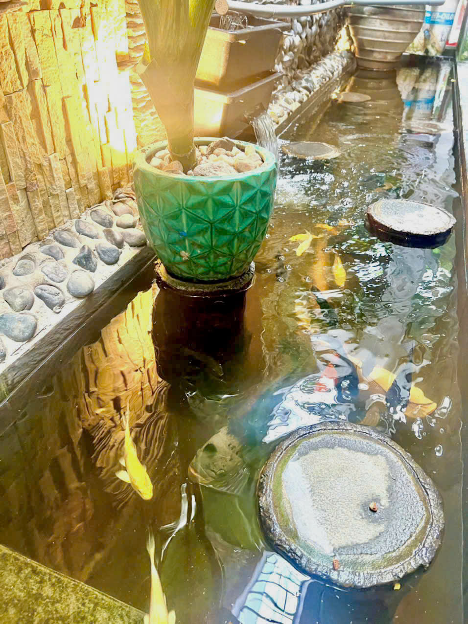 z6878421823918_3f37e64465159f9da19921b6d66923cc